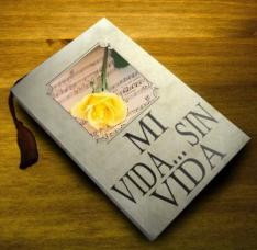 Mi vida... Sin vida